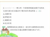蘇科版七年級(jí)生物下冊(cè)第5單元植物的生活第12章植物維持生物圈的穩(wěn)定第3節(jié)植物參與生物圈中的水循環(huán)課件