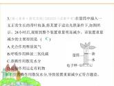 蘇科版七年級(jí)生物下冊(cè)第5單元植物的生活第12章植物維持生物圈的穩(wěn)定第3節(jié)植物參與生物圈中的水循環(huán)課件