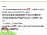 蘇教版七年級(jí)生物下冊(cè)第3單元第7章第1節(jié)生態(tài)系統(tǒng)的構(gòu)成課件