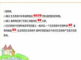 蘇教版七年級生物下冊第3單元第7章第2節(jié)食物鏈和食物網(wǎng)課件