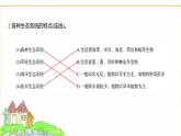 蘇教版七年級(jí)生物下冊(cè)第3單元第7章第3節(jié)生物圈課件
