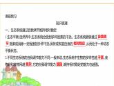 蘇教版七年級生物下冊第3單元第8章第1節(jié)生態(tài)系統(tǒng)的自我調節(jié)(一)課件