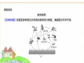 蘇教版七年級生物下冊第3單元第8章第1節(jié)生態(tài)系統(tǒng)的自我調節(jié)(一)課件