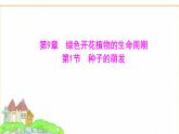 蘇教版七年級生物下冊第4單元第9章第1節(jié)種子的萌發(fā)課件