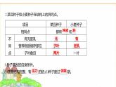 蘇教版七年級生物下冊第4單元第9章第1節(jié)種子的萌發(fā)課件