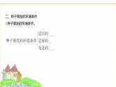 蘇教版七年級生物下冊第4單元第9章第1節(jié)種子的萌發(fā)課件