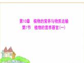 苏教版七年级生物下册第4单元第10章第1节植物的营养器官(一)课件