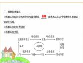 蘇教版七年級(jí)生物下冊(cè)第4單元第10章第2節(jié)生物圈中的水循環(huán)課件