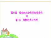 蘇教版七年級生物下冊第4單元第11章第1節(jié)植物的光合作用課件
