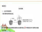 蘇教版七年級生物下冊第4單元第11章第1節(jié)植物的光合作用課件
