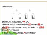 蘇教版七年級生物下冊第4單元第11章第1節(jié)植物的光合作用課件