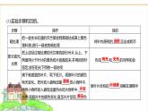 蘇教版七年級生物下冊第4單元第11章第1節(jié)植物的光合作用課件