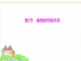蘇教版七年級生物下冊第4單元第11章第2節(jié)植物的呼吸作用課件