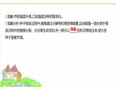 蘇教版七年級生物下冊第4單元第11章第2節(jié)植物的呼吸作用課件