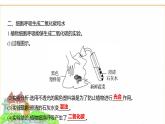 蘇教版七年級生物下冊第4單元第11章第2節(jié)植物的呼吸作用課件