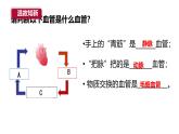 初中 生物 人教版（2024） 七年级下册4.4.3 输送血液的泵——心脏1 课件