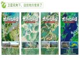 初中  生物 蘇教版（2024） 七年級(jí)下冊(cè)3.8.2 生態(tài)安全 課件
