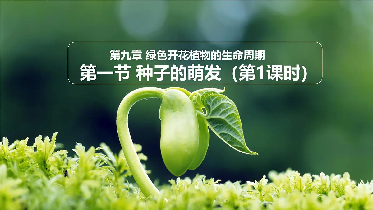 初中 生物 苏教版（2024）七年级下册4.9.1 种子的萌发（第1课时） 课件第1页