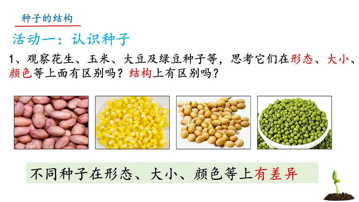 初中 生物 苏教版（2024）七年级下册4.9.1 种子的萌发（第1课时） 课件第3页