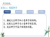 初中  生物 蘇教版（2024）七年級下冊4.9.1 種子的萌發(fā)（第1課時） 課件
