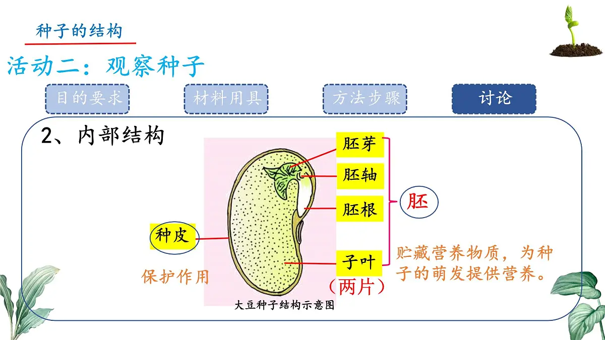 初中 生物 苏教版（2024）七年级下册4.9.1 种子的萌发（第1课时） 课件第7页