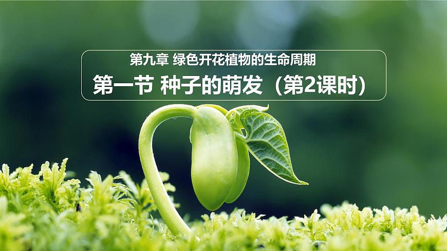 初中  生物 苏教版（2024）七年级下册4.9.1 种子的萌发（第2课时） 课件第1页