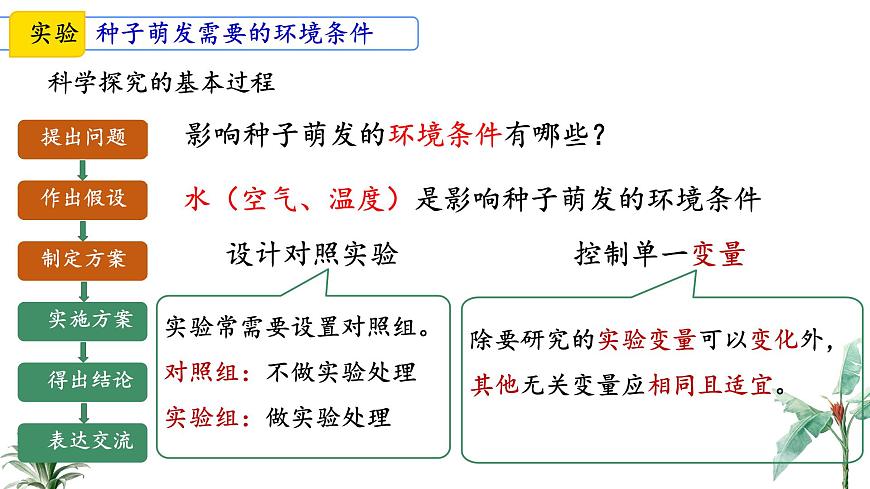 初中  生物 苏教版（2024）七年级下册4.9.1 种子的萌发（第2课时） 课件第4页