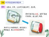 初中  生物 蘇教版（2024）七年級下冊4.9.1 種子的萌發(fā)（第2課時） 課件
