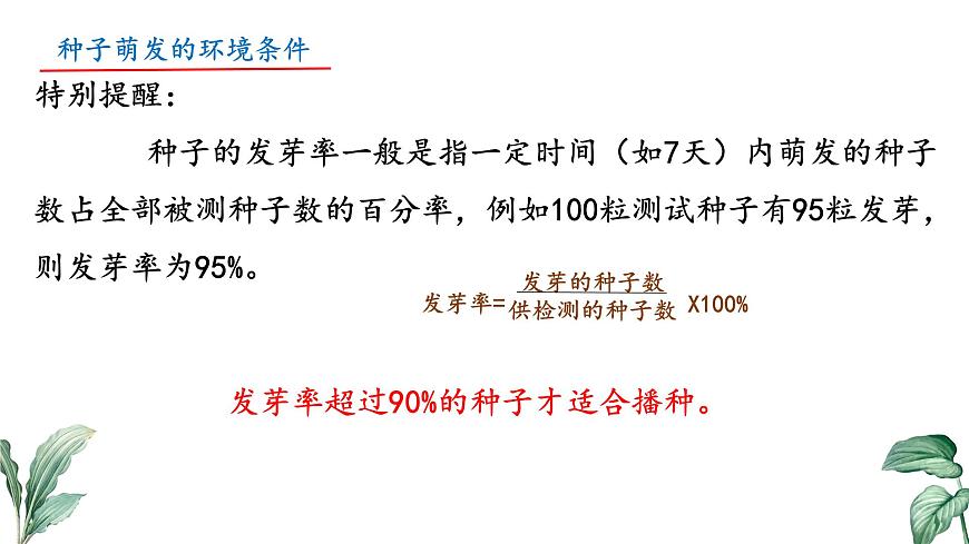 初中  生物 苏教版（2024）七年级下册4.9.1 种子的萌发（第2课时） 课件第8页