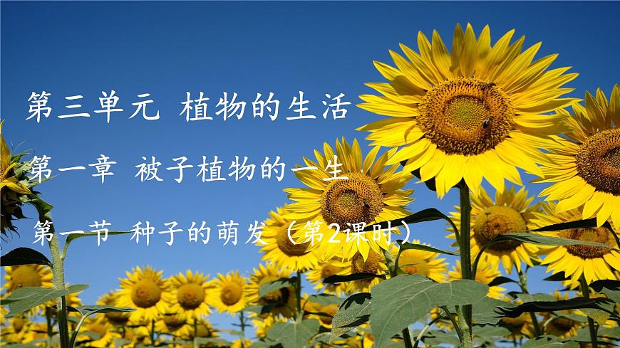 初中  生物 苏教版（2024）七年级下册4.9.1 种子的萌发（第2课时） 课件2第1页