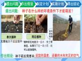 初中  生物 蘇教版（2024）七年級下冊4.9.1 種子的萌發(fā)（第2課時） 課件2
