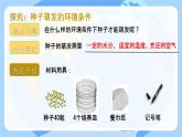 初中  生物 蘇教版（2024）七年級下冊4.9.1 種子的萌發(fā)（第2課時） 課件2
