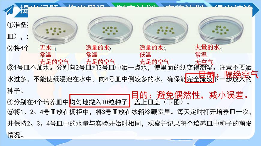 初中  生物 苏教版（2024）七年级下册4.9.1 种子的萌发（第2课时） 课件2第4页
