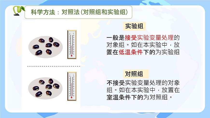 初中  生物 苏教版（2024）七年级下册4.9.1 种子的萌发（第2课时） 课件2第5页