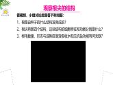 初中  生物 蘇教版（2024 七年級下冊4.9.2 植物的生長 課件