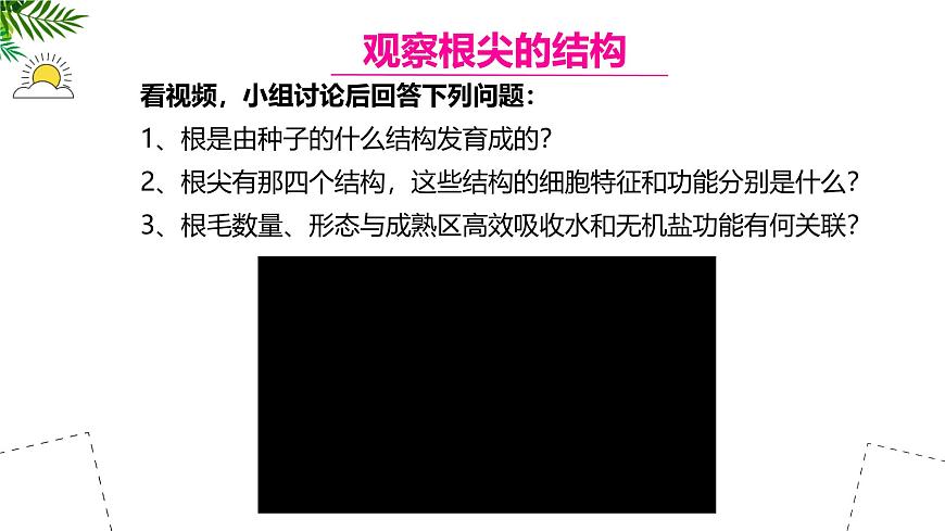 初中  生物 苏教版（2024 七年级下册4.9.2 植物的生长 课件第4页