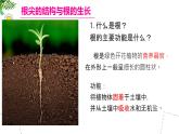 初中  生物 蘇教版（2024 七年級下冊4.9.2 植物的生長 課件