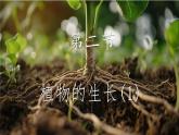初中  生物 蘇教版（2024 七年級下冊4.9.2 植物的生長 課件