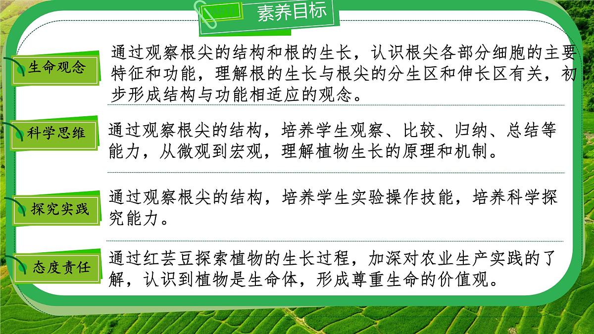 初中 生物 苏教版（2024 七年级下册4.9.2 植物的生长 课件第3页