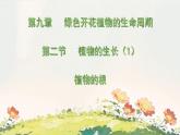初中  生物 蘇教版（2024 七年級下冊4.9.2 植物的生長 課件