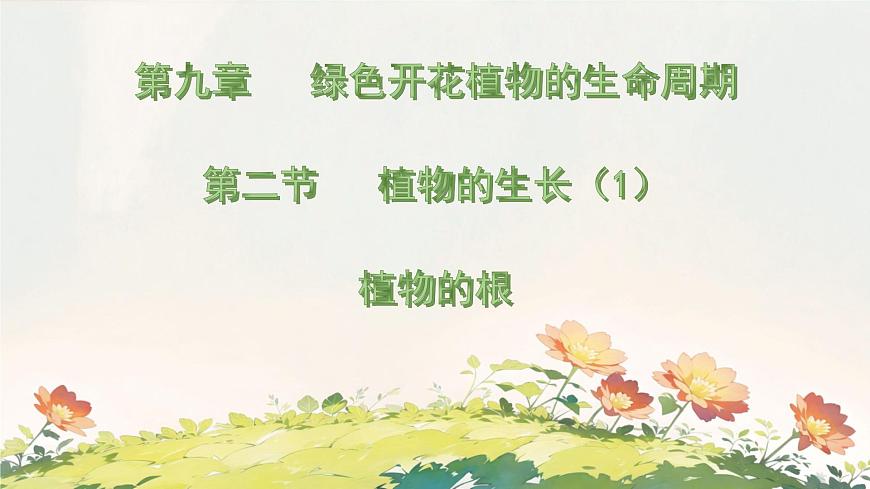 初中  生物 苏教版（2024 七年级下册4.9.2 植物的生长 课件第1页