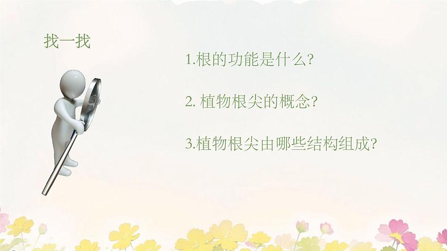 初中  生物 苏教版（2024 七年级下册4.9.2 植物的生长 课件第3页