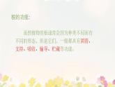 初中  生物 蘇教版（2024 七年級下冊4.9.2 植物的生長 課件