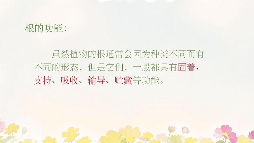 初中  生物 苏教版（2024 七年级下册4.9.2 植物的生长 课件第5页