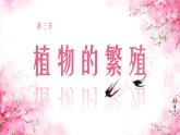 初中  生物  蘇教版（2024）七年級下冊4.9.3 植物的繁殖 課件