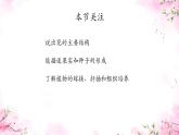 初中  生物  蘇教版（2024）七年級下冊4.9.3 植物的繁殖 課件