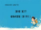 初中  生物  蘇教版（2024）七年級下冊4.9.3 植物的繁殖（共4課時） 課件