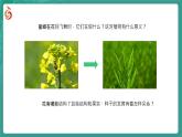 初中  生物  蘇教版（2024）七年級下冊4.9.3 植物的繁殖（共4課時） 課件