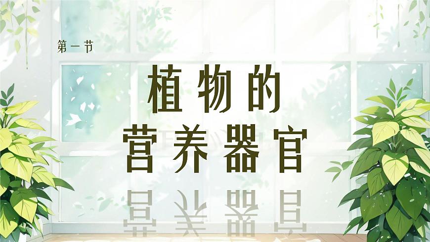 初中 生物  苏教版（2024 七年级下册4.10.1 植物的营养器官 课件第1页