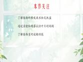 初中 生物  蘇教版（2024 七年級下冊4.10.1 植物的營養(yǎng)器官 課件